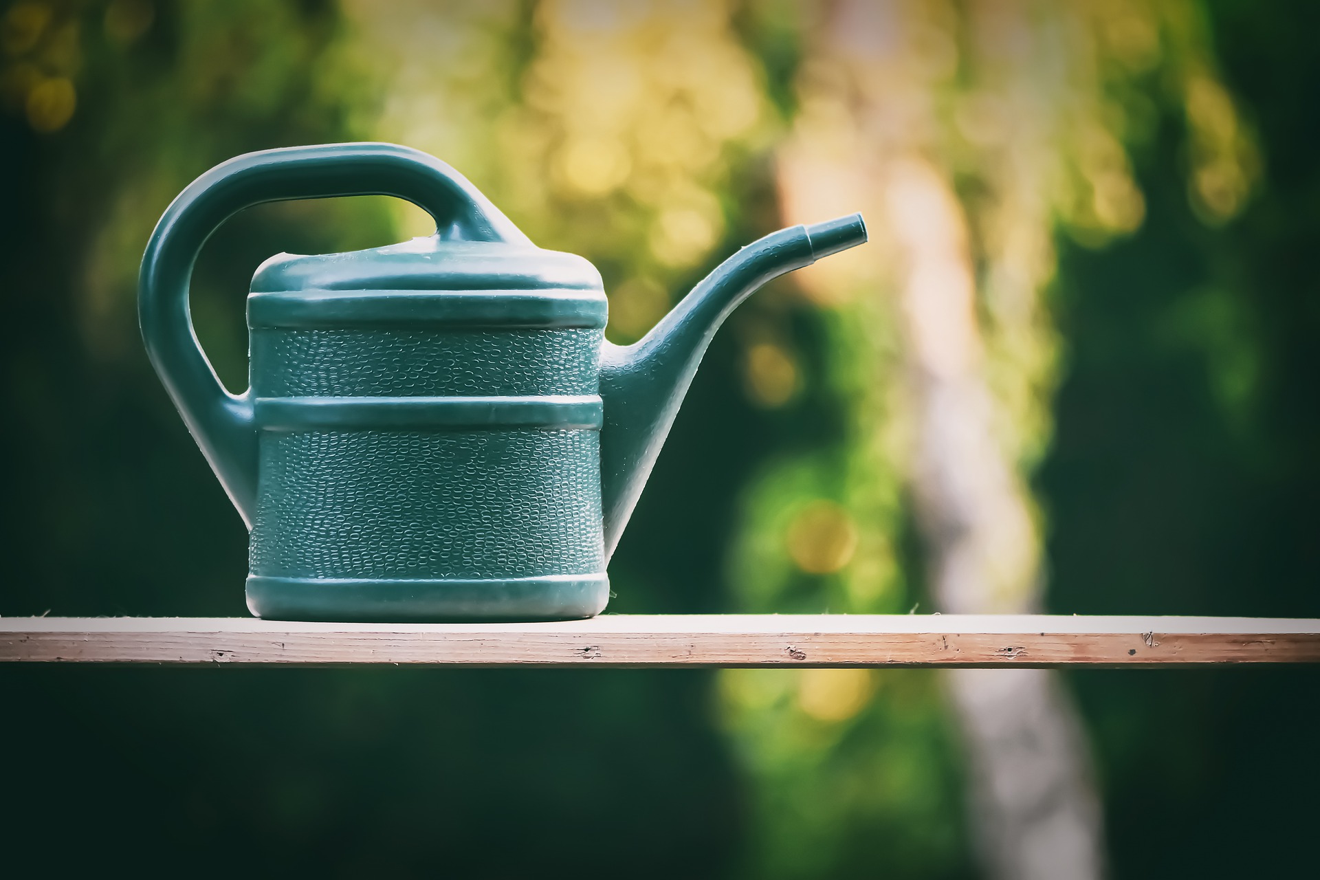 Jardiniers, nourrissez vos tomates 3 fois en été avec ce produit et vous récolterez jusqu'à l'hiver : plus besoin d'acheter un engrais en magasin, ce produit n'a pas son pareil !