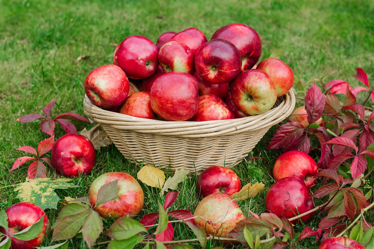 Voulez-vous des tomates plus sucrées, une pelouse plus épaisse et de plus jolies roses ? Ajoutez CET additif à votre jardin et il se chargera des résultats étonnants !