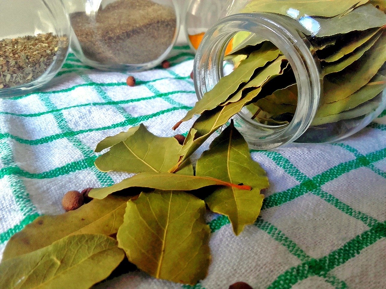 Il suffit de jeter quelques feuilles de laurier dans le tuyau d'évacuation du linge : J'ai appris ce conseil de ma grand-mère et je l'utilise depuis des années, son efficacité est garantie !