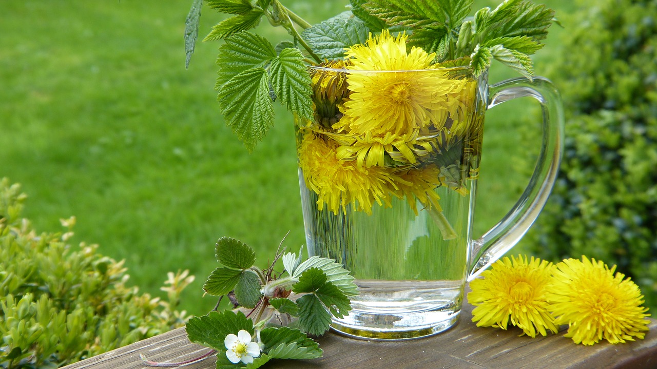 Recouvrez trois poignées de pissenlits de vinaigre et laissez reposer : Ce que vous obtiendrez au bout de deux semaines de cette combinaison s'équilibrera en or ménager !