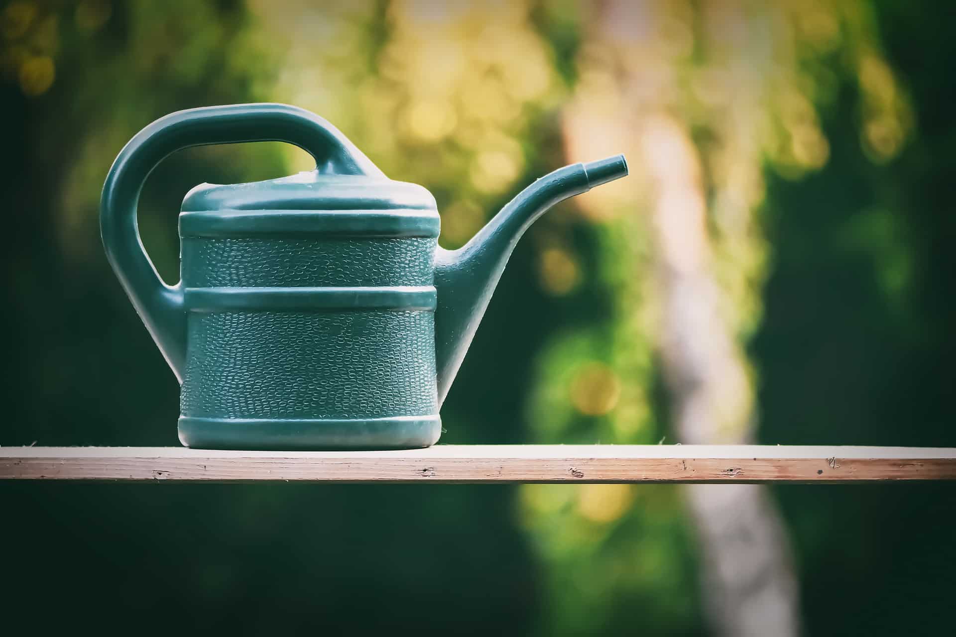 Les jardiniers sont enthousiastes : ils achètent du soda par carton, pour une raison tout à fait étonnante !