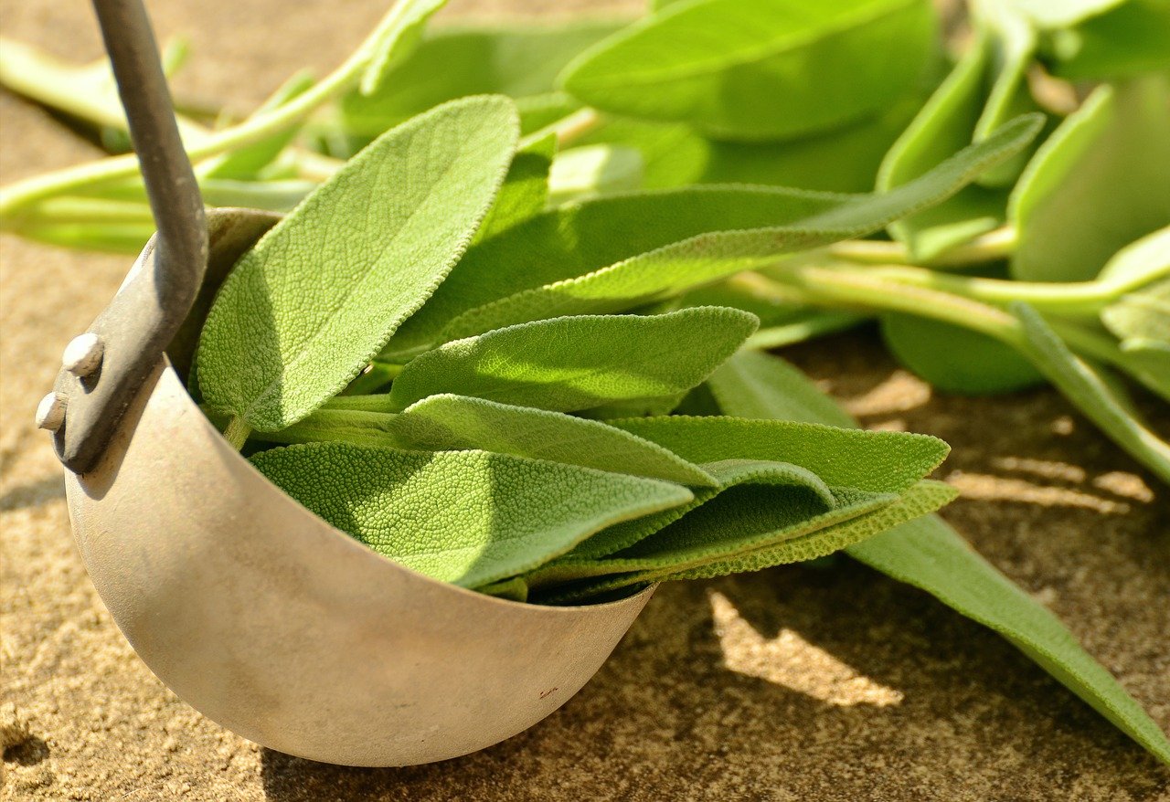 Il n'est pas nécessaire de recourir à des teintures pour couvrir les cheveux gris : cette méthode permet de lutter contre les cheveux gris et de renforcer votre santé !