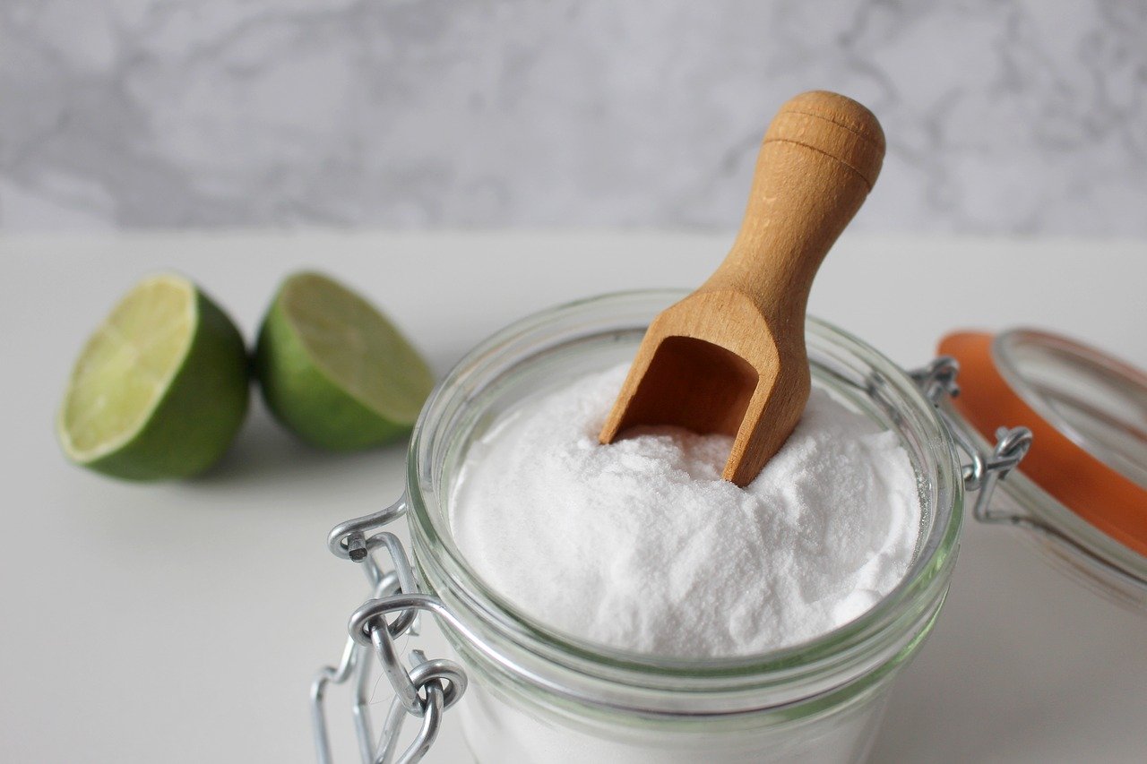 Comment se débarrasser des tiques avec du bicarbonate de soude ordinaire : Voici la recette et vous n'en aurez pas une seule !