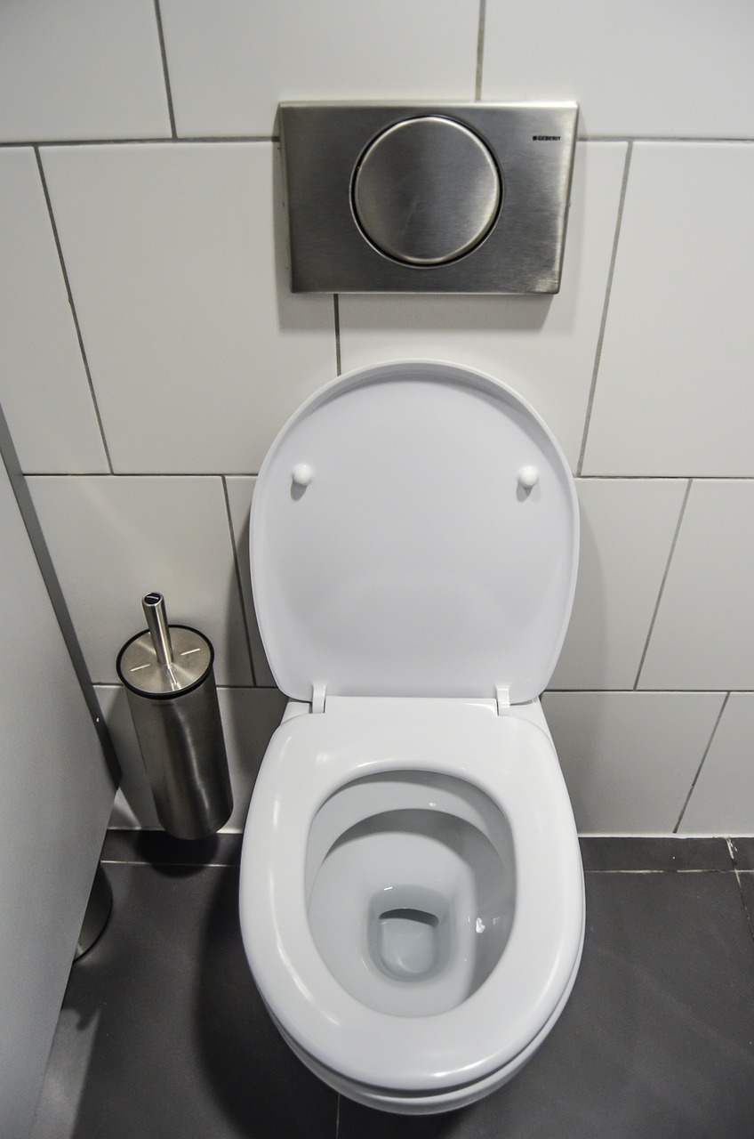 Lorsque vous êtes au magasin, prenez également 1 MYDLOM bon marché : à la maison, mettez-le simplement dans les toilettes et laissez-le ainsi, tout le monde devrait connaître l'effet !