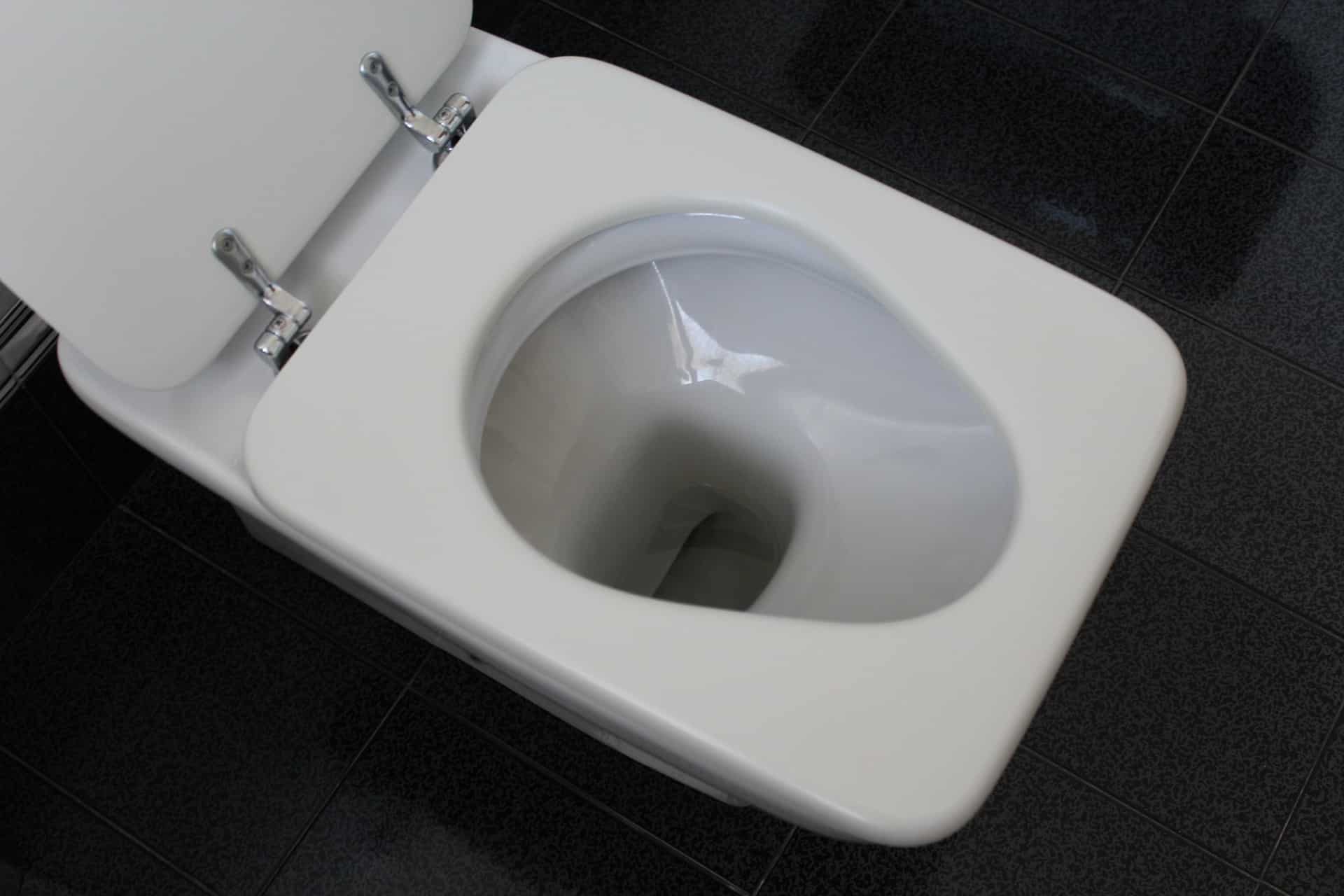 Les plombiers ne vous le diront pas : mettez le tuyau de la machine à laver dans les toilettes, c'est l'astuce parfaite pour la maison !