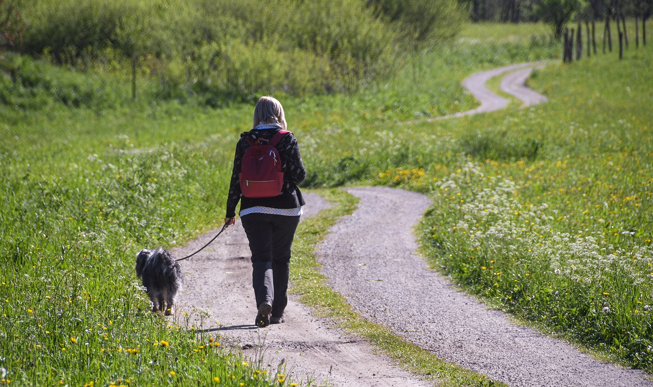 Vous avez cette épice dans votre tiroir : sortez-la, faites-la bouillir et vaporisez-la sur votre corps. Les tiques s'enfuiront !