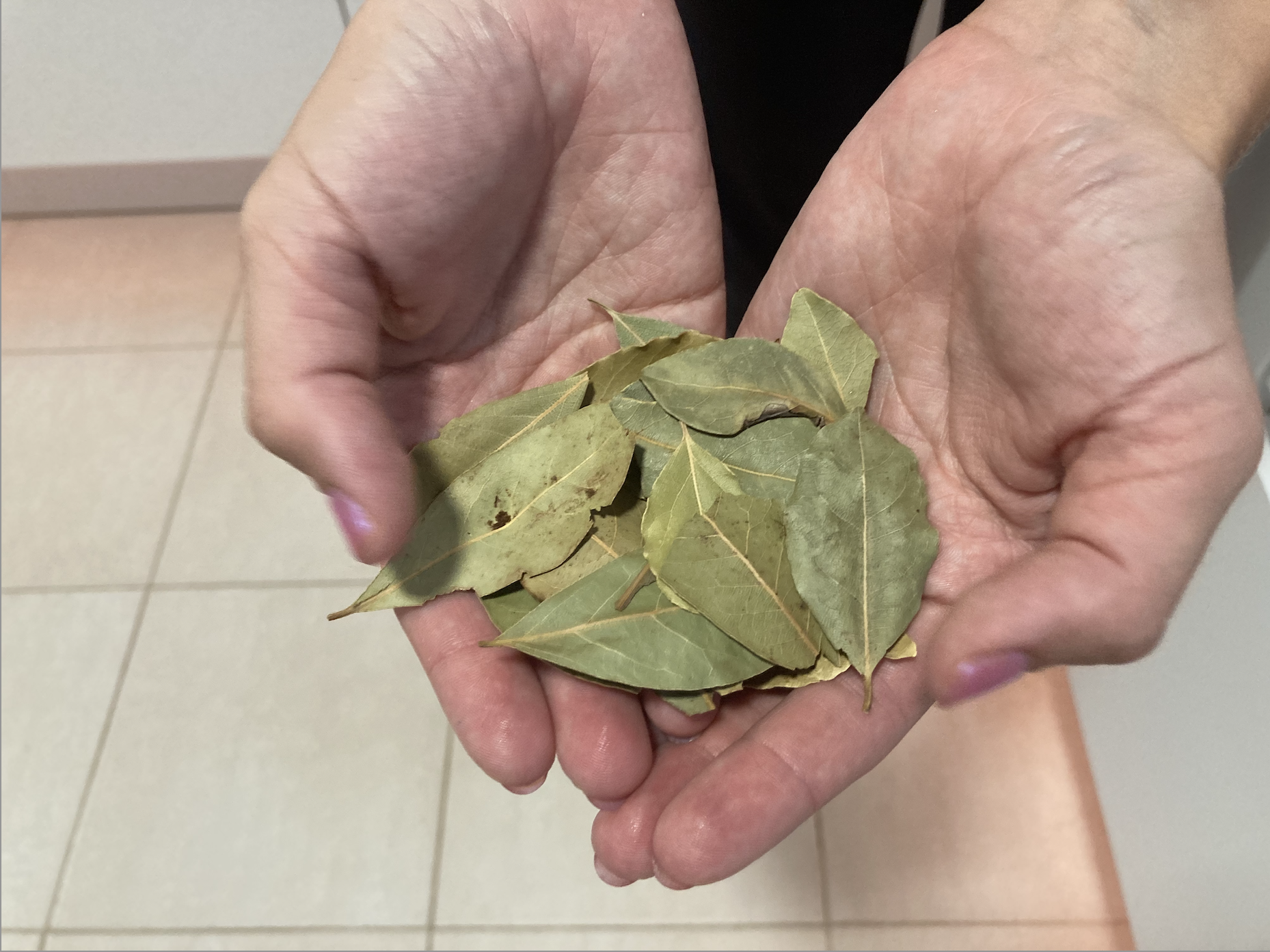 C'est pourquoi je mets une feuille de laurier dans la salle de bain : nos grands-mères le savaient déjà !